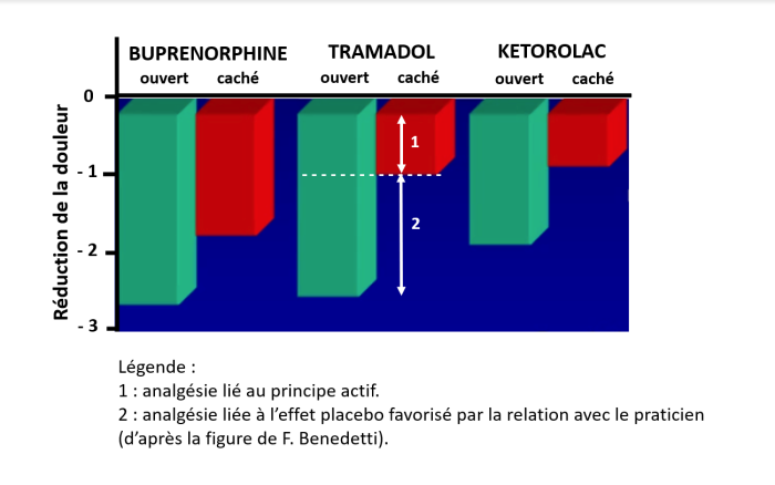 Graphique illustrant les résultats d'une série d'études sur l’effet de substances actives lors d’une administration ouverte ou cachée d'analgésique. 